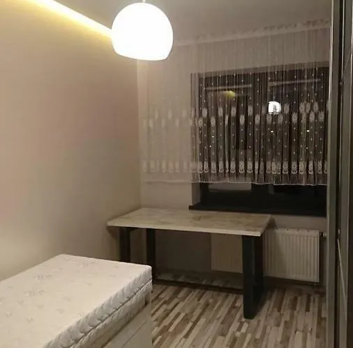 Loft 100 M2 Centrum 公寓 比得哥什