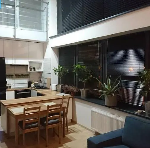 公寓 Loft 100 M2 Centrum *