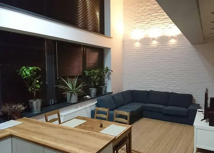 公寓 Loft 100 M2 Centrum *